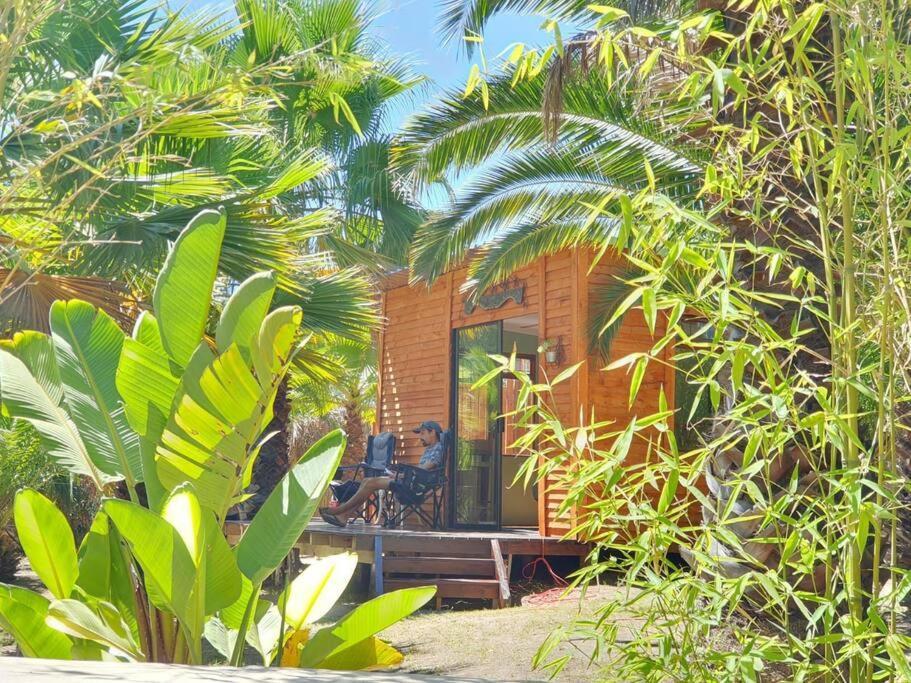 The Farmhouse B&B Stellenbosch Exteriér fotografie